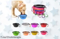 Transforma cada aventura con nuestro cuenco portátil para mascotas: ¡super chollo plegable y duradero que hará felices a tus peludos! Oferta limitada, actúa ya y sorpréndelos