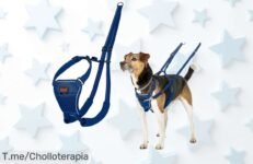 Transforma los paseos con el arnés anti tirones HALTI, un control frontal increíble que mejora la seguridad y comodidad de tu perro ¡Aprovecha este ofertón antes de que se agote!