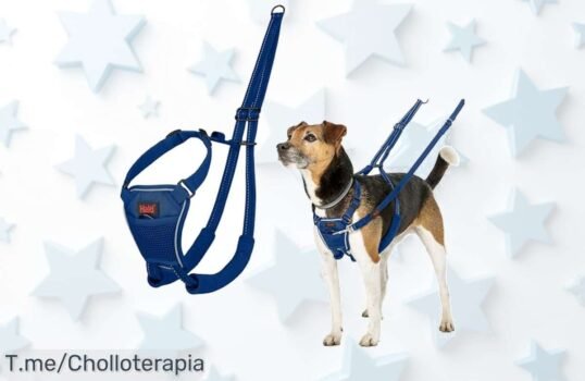 Transforma los paseos con el arnés anti tirones HALTI, un control frontal increíble que mejora la seguridad y comodidad de tu perro ¡Aprovecha este ofertón antes de que se agote!
