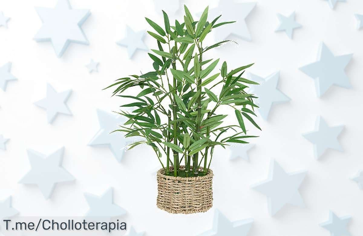 Transforma tu hogar con el Bambú Artificial: ¡una oportunidad única con maceta natural a un precio loco! Dale vida ahora, no dejes pasar esta oferta limitada.