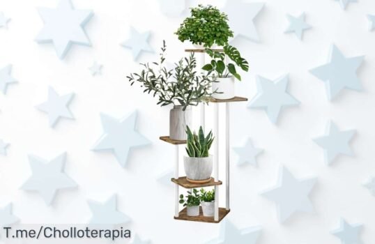 Transforma tu hogar con este estante de plantas de 5 niveles, un ofertón único que organiza y embellece ¡Cómpralo ahora antes que se agote y disfruta del descuento brutal!