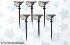 Transforma tu jardín con magia: 6 balizas LED a precio loco que brillan 8 horas ¡No te pierdas este ofertón limitado y compra ahora para iluminar tus noches!