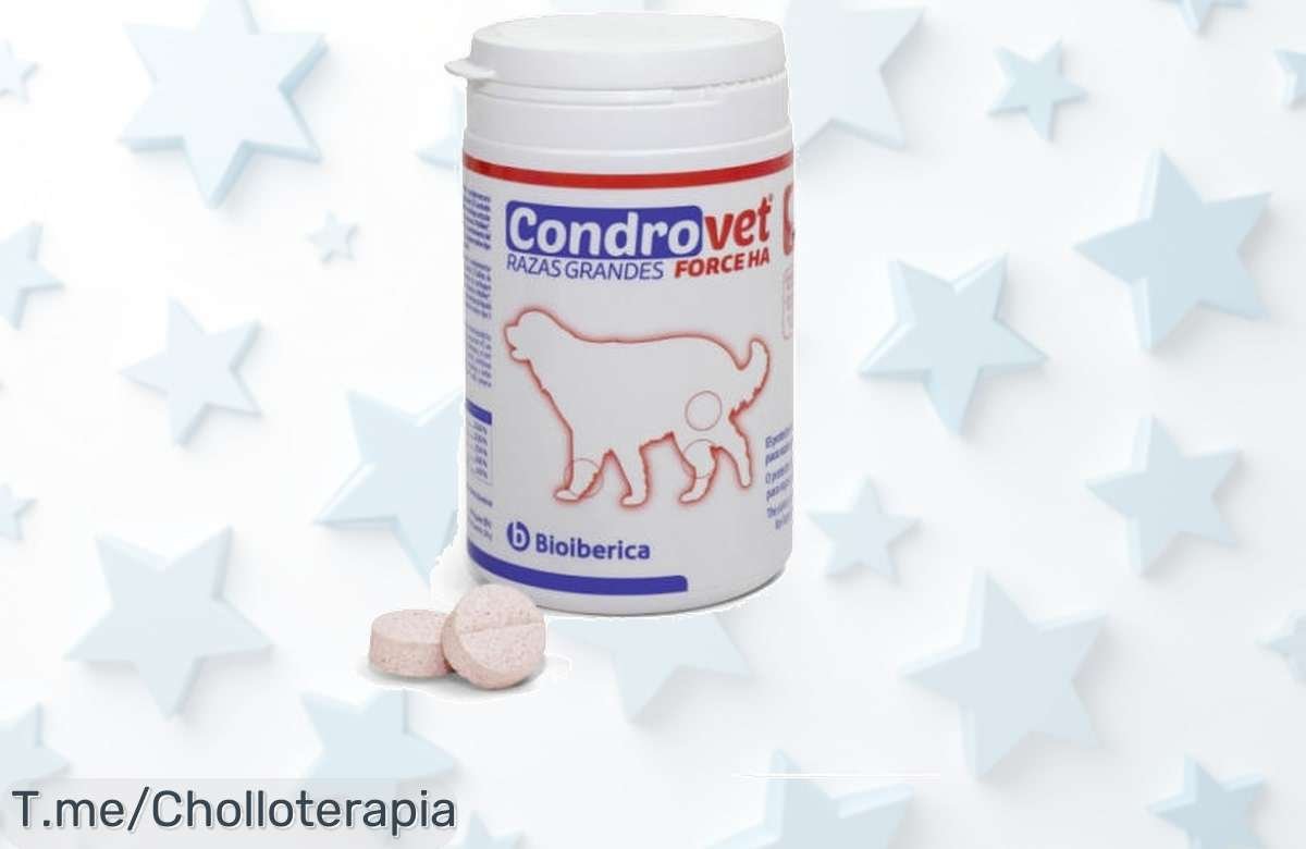 Conducción sin dolor para perros grandes con condrovet force ha super chollo cuidado articular de verdad descuento brutal precio de ganga no lo pierdas compra ya
