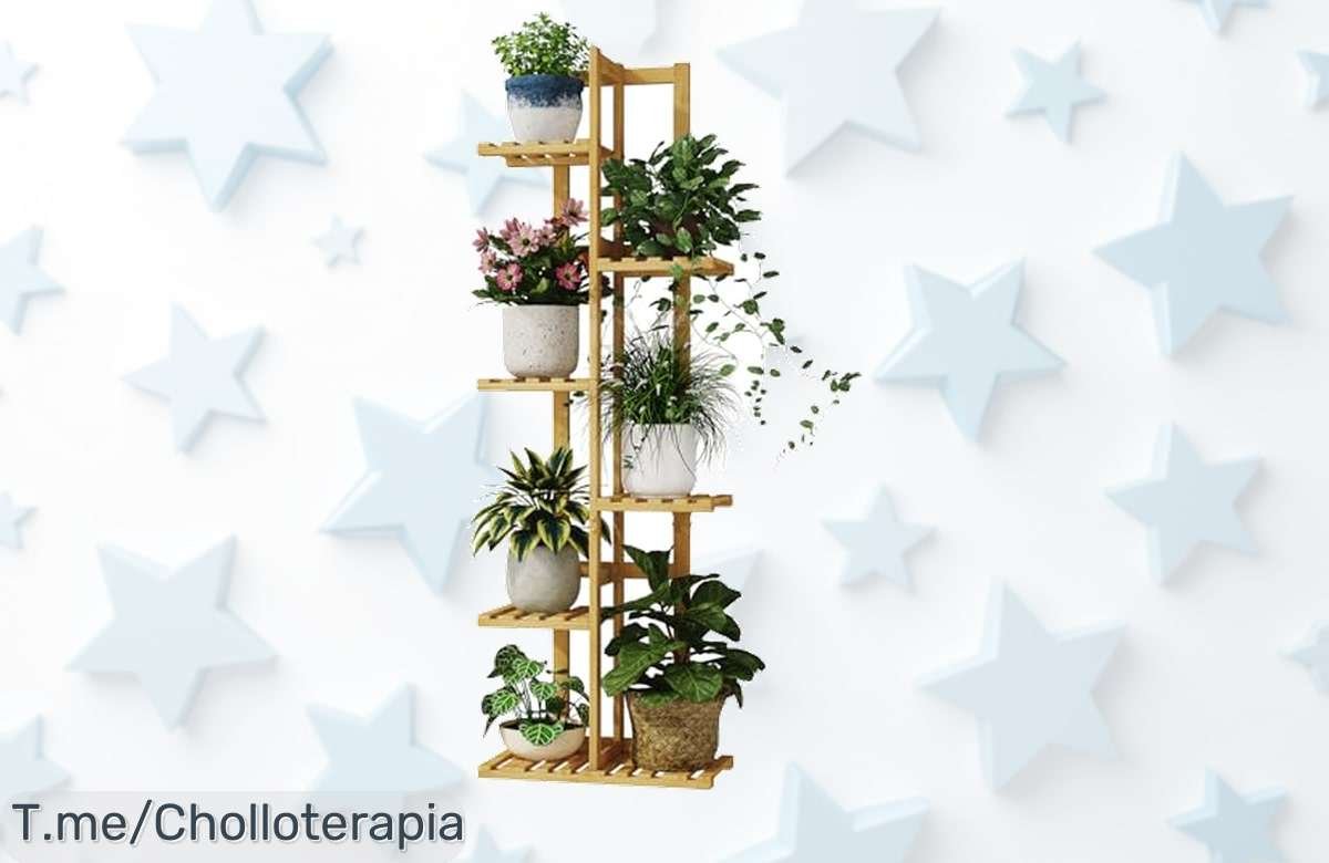 Consigue ahora el soporte para plantas perfecto con un diseño único que garantiza tallos fuertes y derechos aprovecha este ofertón de precio loco limitado ¡no lo dejes escapar!