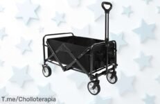 Descubre el Carrito de Mano Plegable que Todos Quieren: Super Chollo para Playa y Jardín a Precio Loco, ¡Compra Ahora Antes de Que se Agoten!