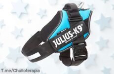 Descubre el JULIUSK9 Power Harness a un precio loco y transforma cada paseo con estilo ¡Hazte con el tuyo antes de que se agoten, no te quedes sin él!