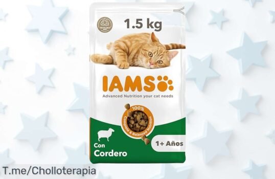 Descubre el super chollo de IAMS con cordero para tu gato, ¡energía y salud a un precio loco! Oferta limitada, corre antes que se agote este ofertón