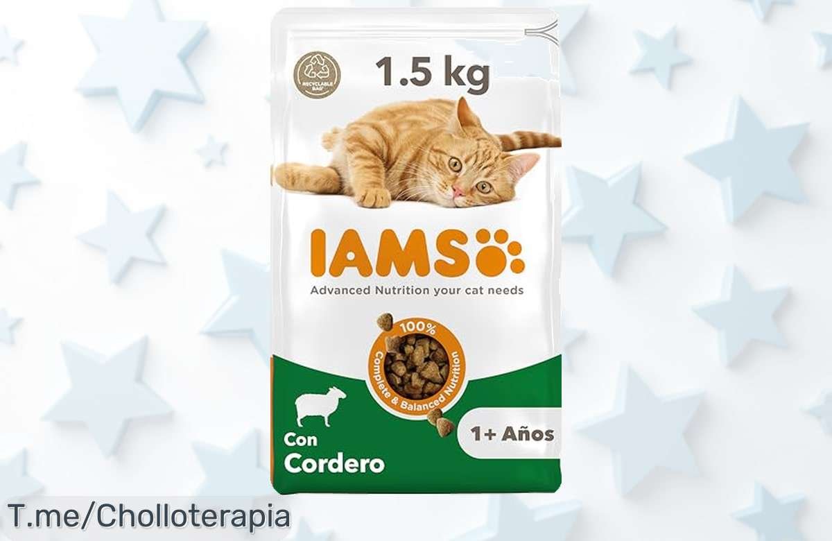 Descubre el super chollo de IAMS con cordero para tu gato, ¡energía y salud a un precio loco! Oferta limitada, corre antes que se agote este ofertón.