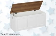 Descubre el super chollo de la caja gigante Hoobro que organiza todo en segundos con asas fáciles precio loco y descuento brutal jamás visto compra ya antes que se acabe