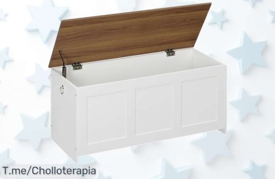 Descubre el super chollo de la caja gigante Hoobro que organiza todo en segundos con asas fáciles precio loco y descuento brutal jamás visto compra ya antes que se acabe