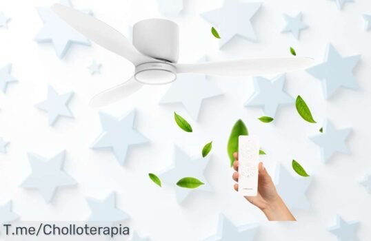 Descubre el super chollo del Ventilador de Techo Brizy Bright Ultra Silencioso con 6 velocidades y mando a distancia ¡Aprovecha este ofertón hoy mismo antes que se agote!