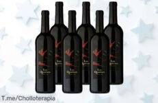 Descubre el super chollo del vino Castel Freres Los Quintaos que elevará tus cenas ¡Aprovecha este ofertón de 6 botellas y sorprende a todos! Stock limitado, compra ya