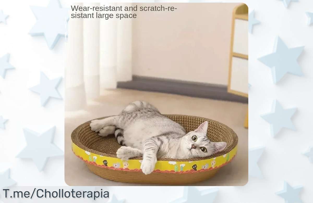 Descubre el tablero rascador ovalado para gatos más resistente que salva tus muebles y divierte a tu felino con un descuento brutal nunca visto ¡compra ya este super chollo!