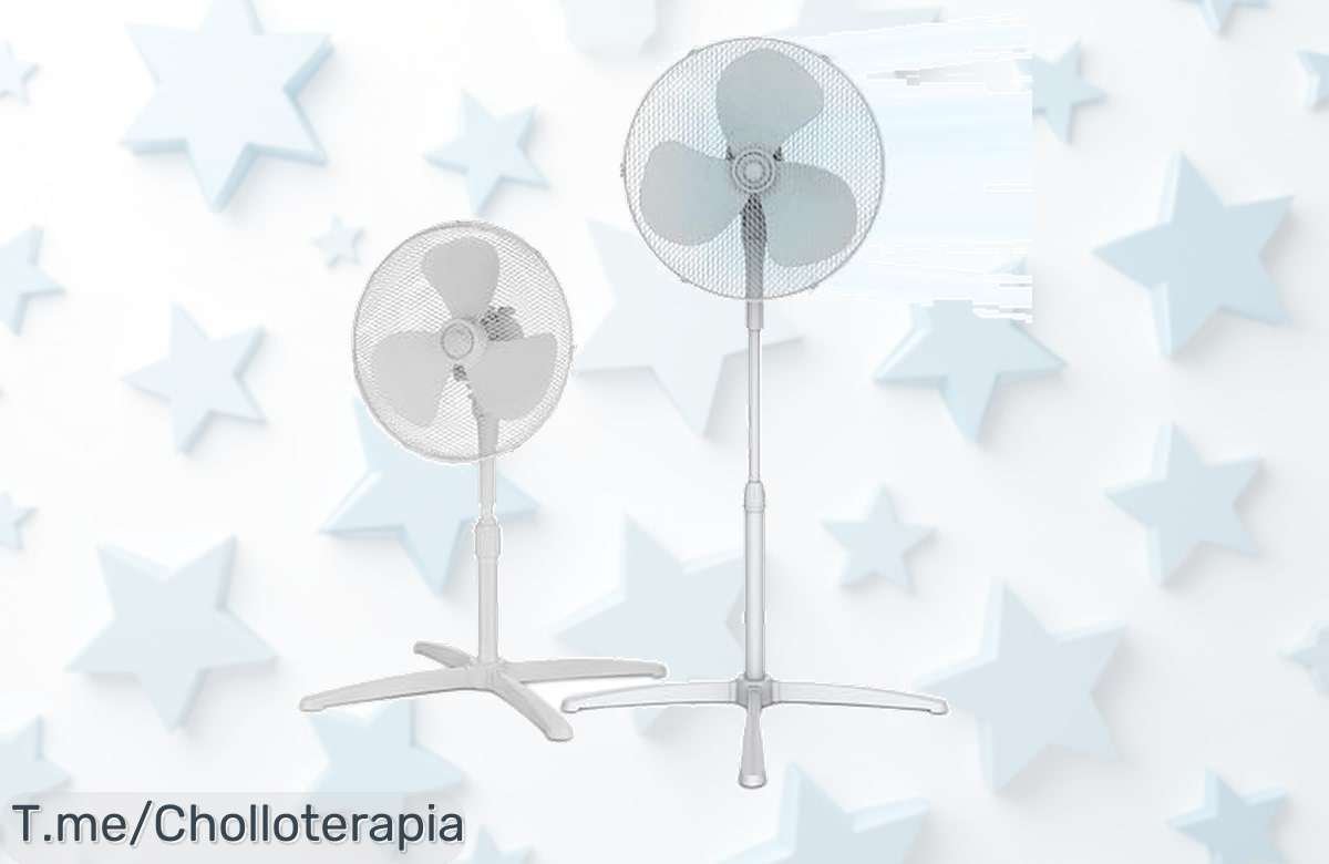 Descubre el ventilador COMFEE, con silencio total y 3 velocidades: ¡el super chollo que te refresca a toda velocidad! Aprovecha este ofertón antes de que se agoten.