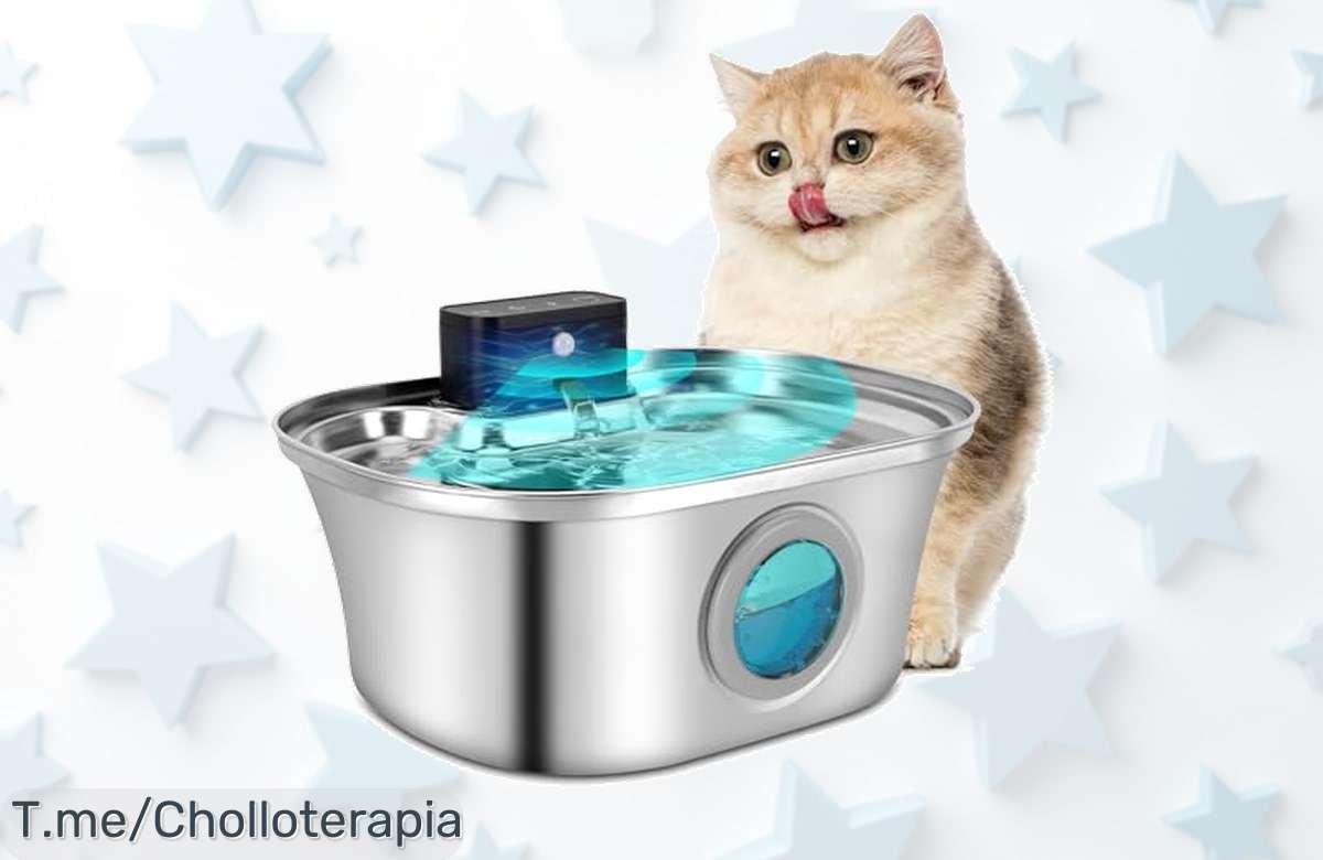 Fuente para gatos acero inoxidable súper silenciosa con agua fresca hasta 45 días precio loco nunca visto ¡aprovecha este ofertón y consigue el tuyo antes que se acabe ya mismo!