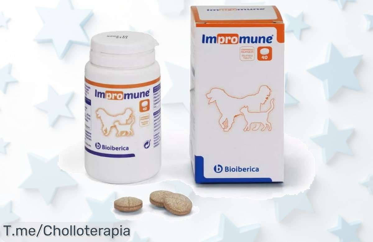 Impromune para perros y gatos refuerza su sistema inmunitario con un súper chollo de precio loco aprovecha este ofertón único y limitado antes que se acabe tu descuento brutal nunca visto