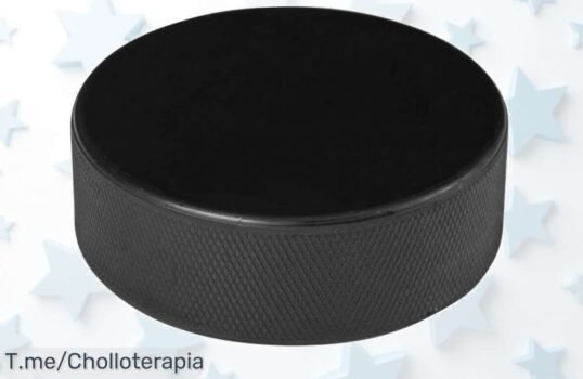 Jelex Bully disco de hockey sobre hielo con descuento brutal para jugar como un pro aprovecha este super chollo precio loco y compra ya antes que se agote
