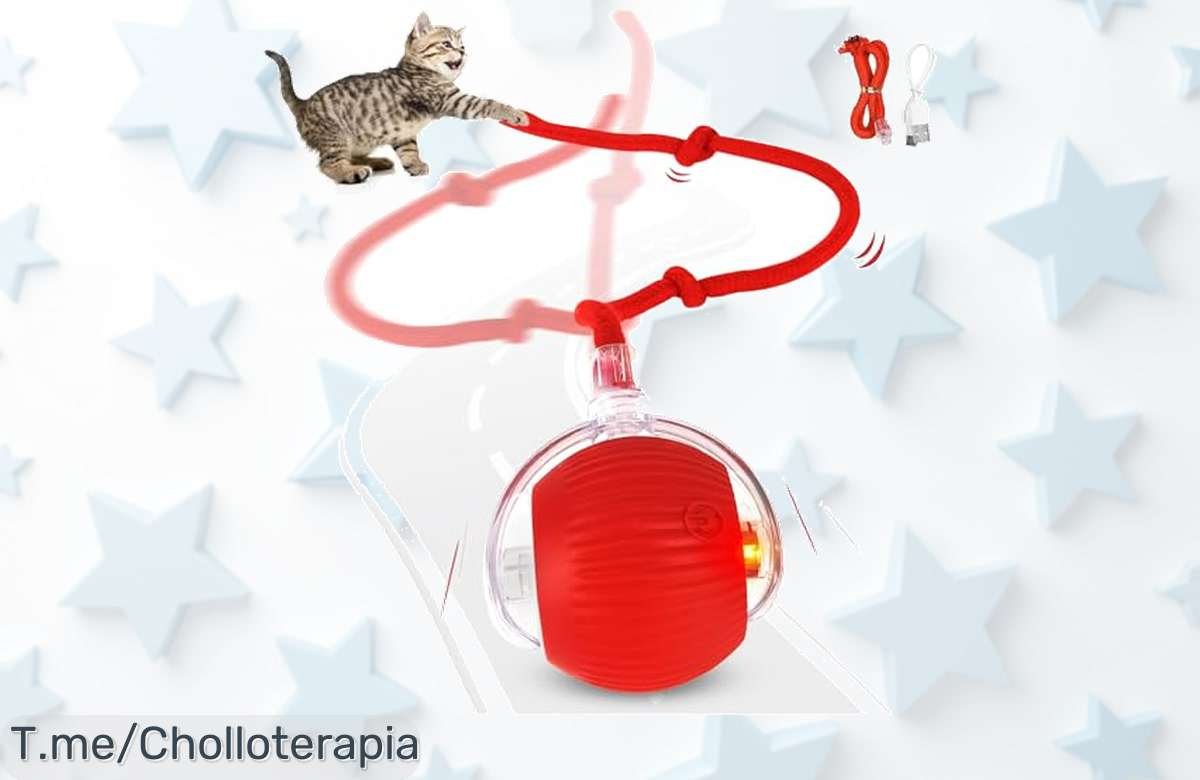 Juguete automático para gatos resistente y recargable con un descuento brutal mantén a tu gato activo ya no te pierdas este ofertón de precio loco ¡compra ahora!