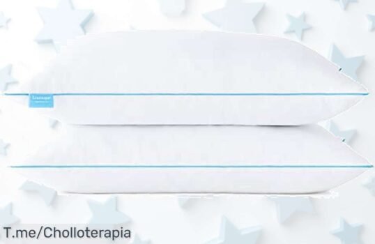 Linenspa pack de 2 almohadas viscoelásticas con funda ultra resistente para un descanso perfecto aprovecha este ofertón y descuento brutal único precio loco es por tiempo limitado actúa ya