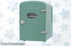 Mini nevera Flamingueo 4L con frío y calor para tus cosméticos jamás vista, aprovecha este descuentazo brutal y precio de ganga limitado ¡compra ya antes que se agoten!