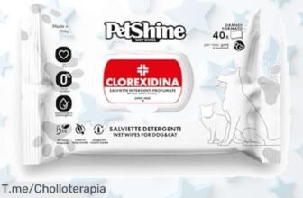 Porrini toallitas súper resistentes para perro y gato con cierre seguro descubre un ofertón de pack gigante 40 uds precio loco descuento brutal ¡compra ya antes que vuelen!