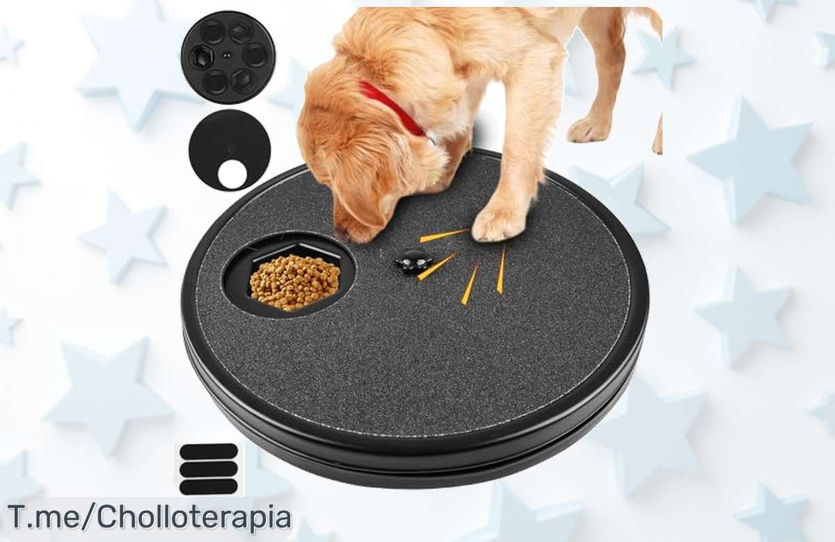 Rascador para perros con caja secreta que gira 360 y cuida sus uñas diversión asegurada super chollo con descuento brutal aprovecha este ofertón único ya