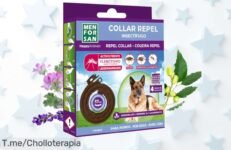 protege a tu perro con el collar antiparasitario que dura 3 meses sin perder fuerza aprovecha este super chollo con descuento brutal y precio de ganga oferta única ¡compra ya!