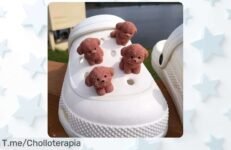 Adornos 3D de cachorro marrón con descuento brutal para tus zapatos el súper chollo que no puedes perder precio loco y oferta limitada actúa ya