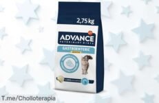 Advance Veterinary diets para gatos con pancita sensible ofrece pavo y prebióticos que cuidan su digestión aprovecha este descuento brutal hoy mismo no dejes escapar este ofertón único