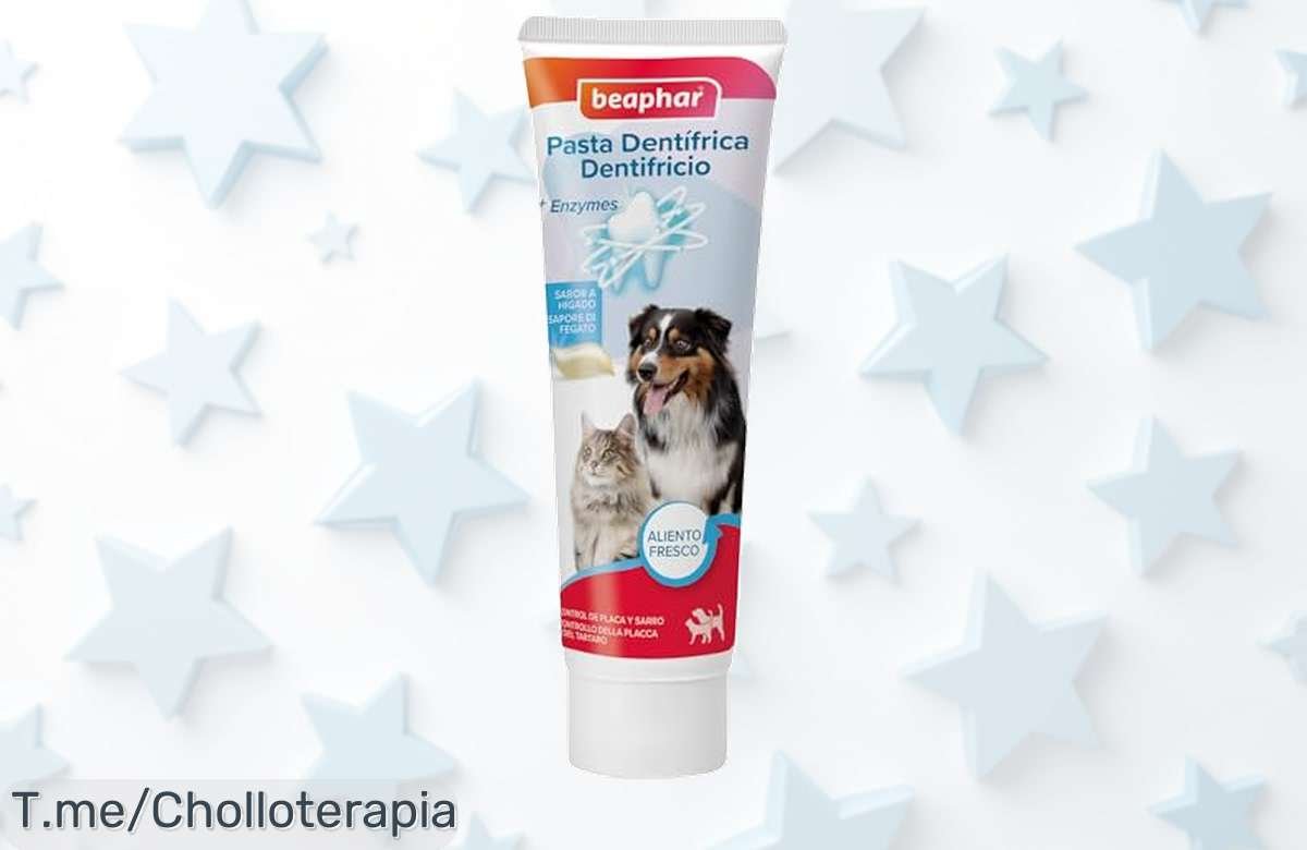 Beaphar pasta dental para perros y gatos con doble defensa antiplaca un ofertón nunca visto que garantiza aliento fresco precio de ganga por tiempo limitado ¡compra ya!