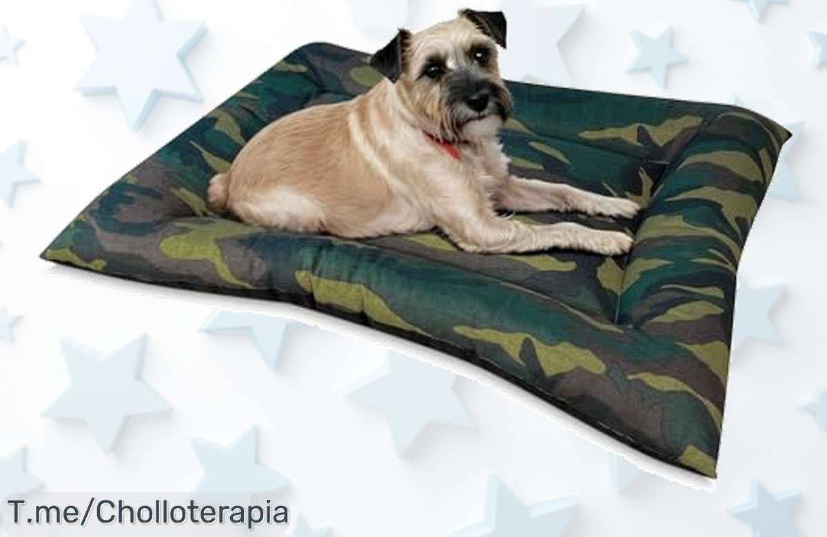 Cama reversible con espuma viscoelástica para tu perro a un precio de ganga nunca visto aprovecha este ofertón único y haz feliz a tu mascota ya que quedan pocas unidades