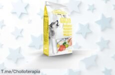 Carnivoro Daily 12 kg pienso para perros con ternera y arroz integral a precio de ganga nunca antes visto aprovecha este ofertón único y consigue la salud que tu perro merece ¡compra ya!