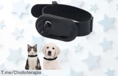 Collar cámara con gran angular y pantalla LCD viendo todo el movimiento de tu mascota en un super chollo con descuento brutal aprovecha este ofertón único antes que se acabe