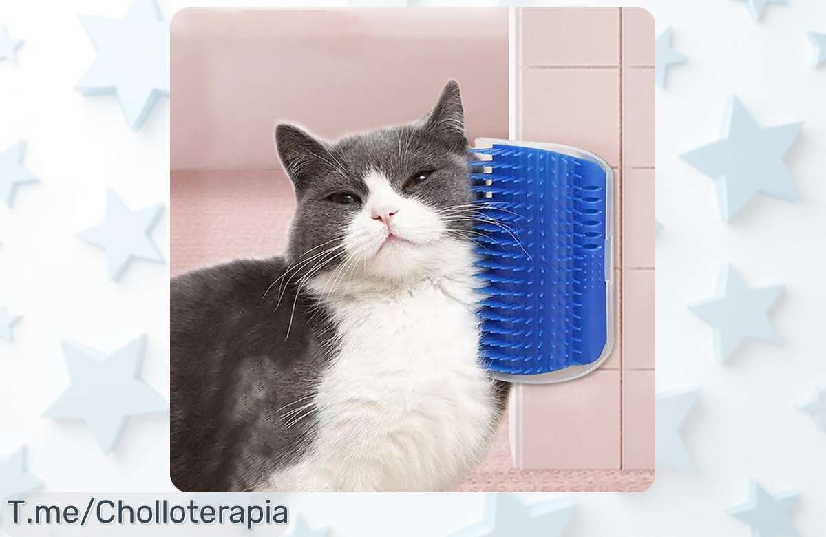 Descubre el masajeador para gatos súper vendido con material resistente PP que elimina pelo y cuida a tu mascota ahora en un descuentazo brutal precio loco corre antes de que se agoten las unidades