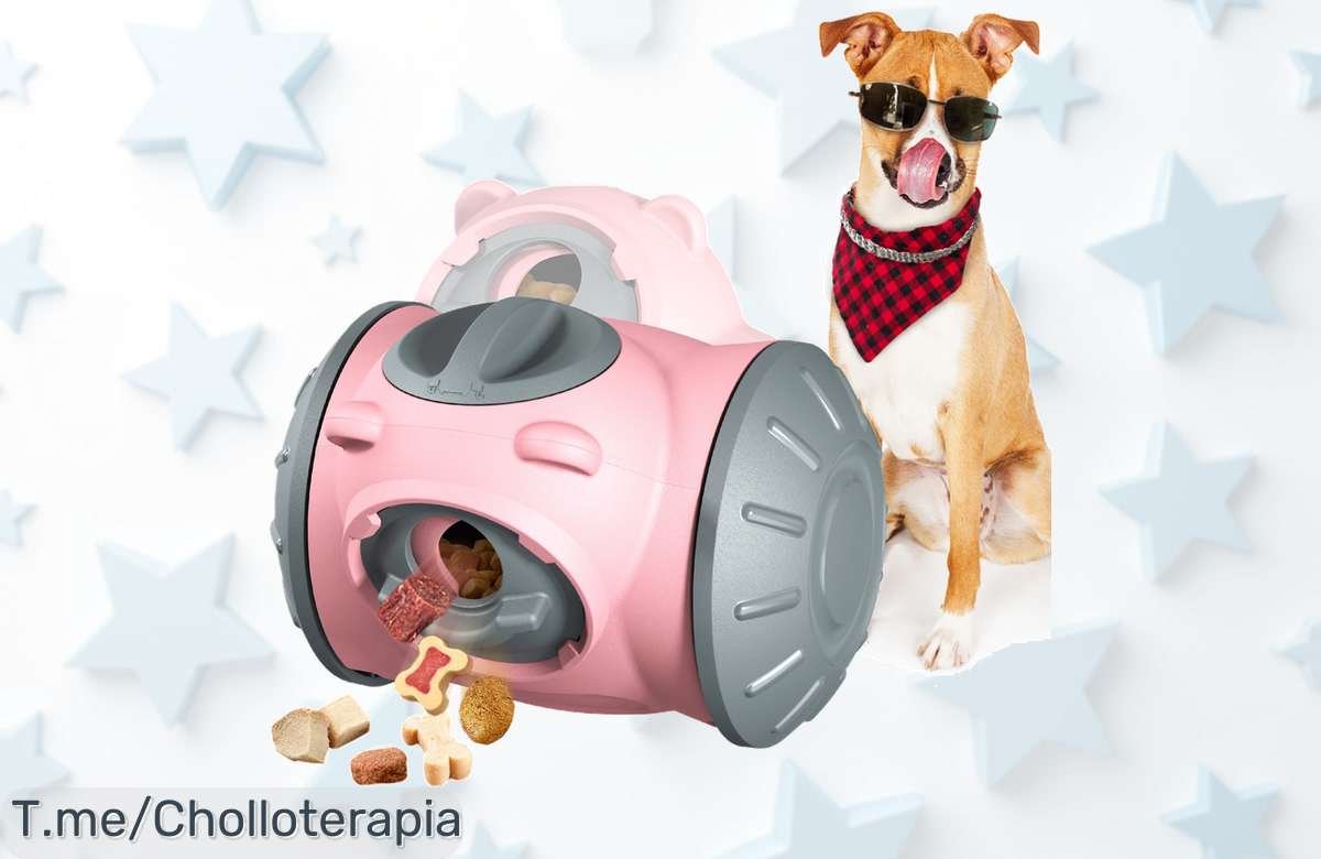 Descubre el oso de golosinas oscilante para perros con un precio loco que reta y entretiene a tu peludo todo el año disfruta este ofertón único antes que se agote