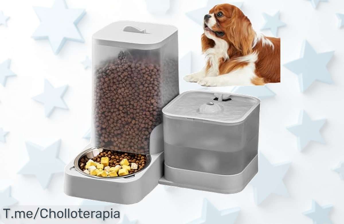 Descubre el rukjmqi dispensador automático para mascotas con bebedero y filtro que mantiene agua fresca, super chollo de precio loco ¡aprovecha este ofertón limitado ya!