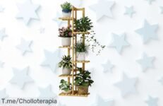 Descubre el soporte para plantas de bambú con 6 niveles que realza tus flores y crea un ambiente único disfruta este ofertón con descuento brutal por tiempo limitado ¡aprovecha ya!
