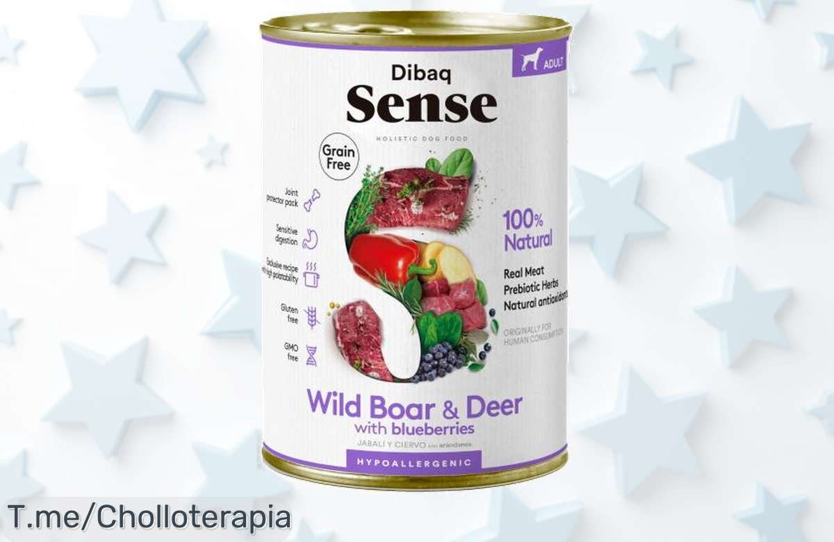 Dibaq sense dog húmedo sin cereales con ciervo y jabalí disfrútalo en pack ahorro ¡un super chollo con sabor natural inigualable compra ya antes que se agote!