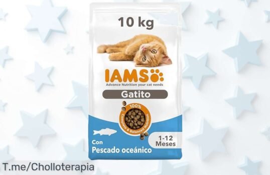 Iams para gatitos junior con proteína de pescado azul y vitaminas en super chollo exclusivo disfruta un precio loco nunca visto por tiempo limitado actúa ya