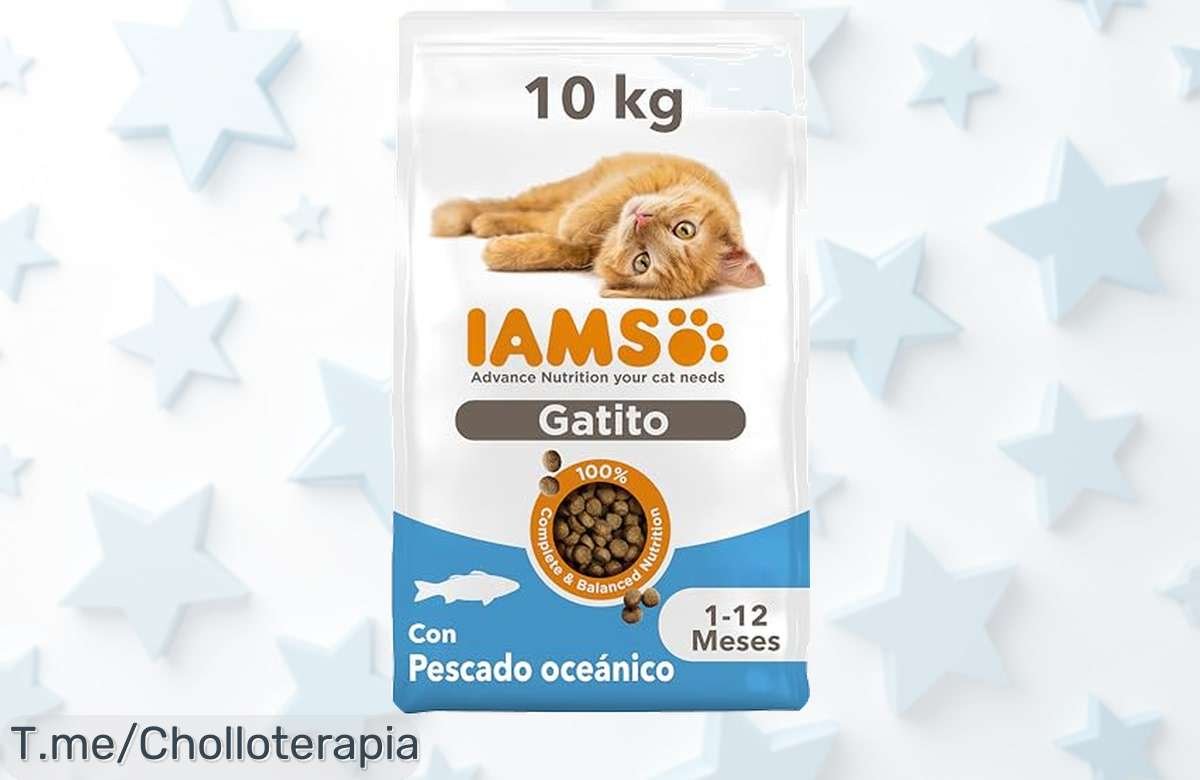 Iams para gatitos junior con proteína de pescado azul y vitaminas en super chollo exclusivo disfruta un precio loco nunca visto por tiempo limitado actúa ya
