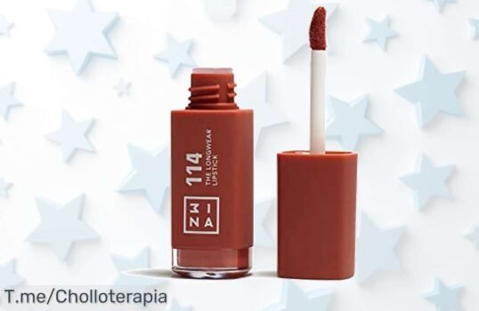 Labial líquido 3INA marrón con ácido hialurónico duración todo el día y labios hidratados en un precio loco oferta única no esperes más descuento brutal limitado