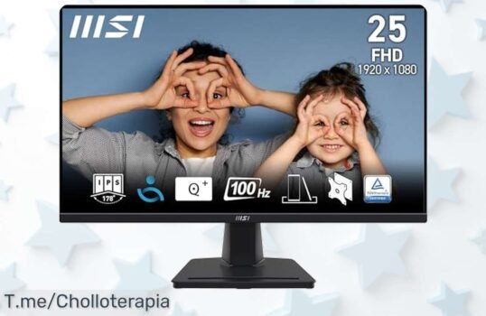 MSI Pro MP252 24,5” Full HD con pantalla IPS a 100 Hz para colores vibrantes y movimientos ultra fluidos ¡Oferta nunca vista a precio de ganga corre ya antes que acabe!