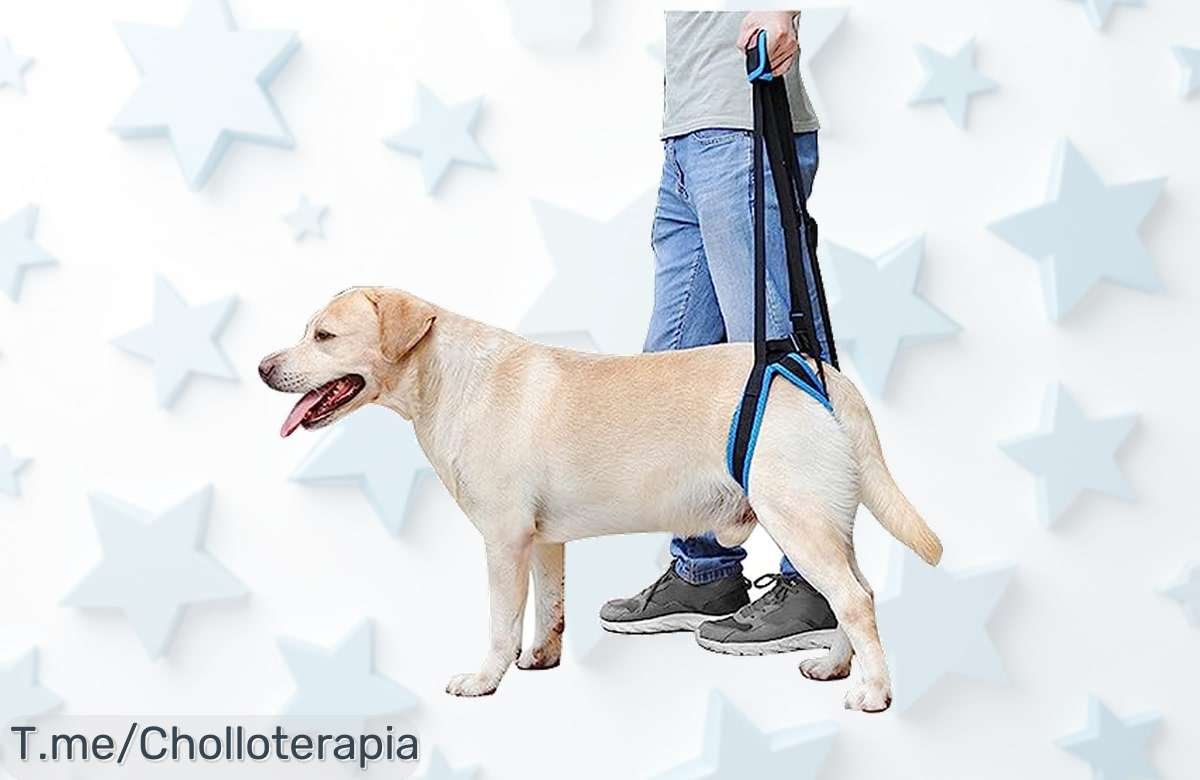 Mightyduty arnés para perros mayores con patas débiles el super chollo que facilita su vida ahora con un descuento brutal oferta nunca vista corre ya y no pierdas este precio loco