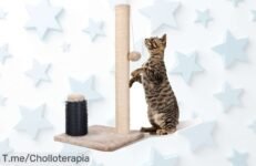 Nobleza poste rascador para gatos con cuerda sisal natural y juego incluido disfruta de este ofertón al precio loco único no esperes más compra ya que vuelan