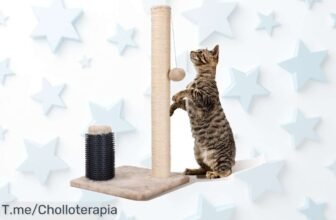 Nobleza poste rascador para gatos con cuerda sisal natural y juego incluido disfruta de este ofertón al precio loco único no esperes más compra ya que vuelan