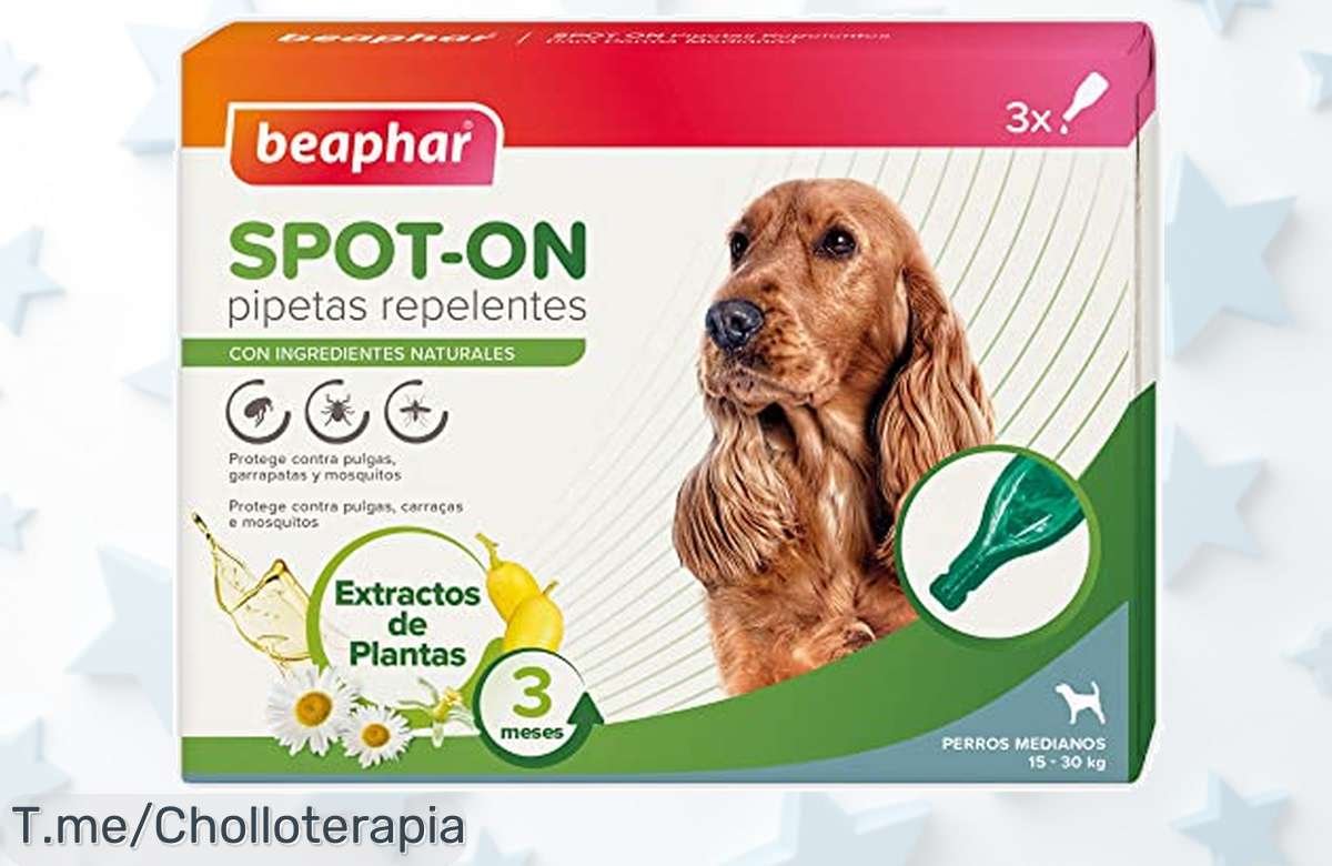 Protege a tu perro sin pulgas ni mosquitos por 3 meses con pipetas naturales que no se van con el agua aprovecha este ofertón de precio loco y descuento brutal ya