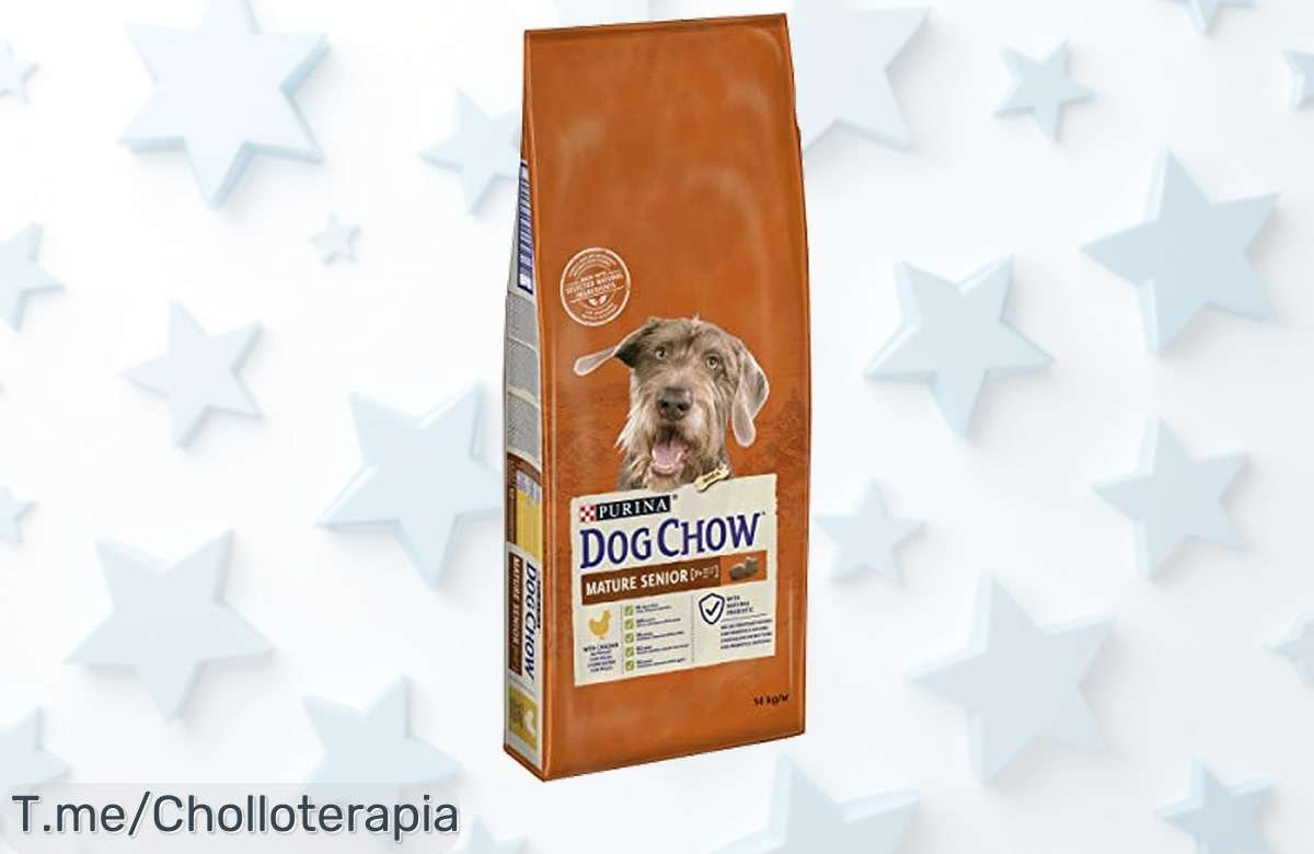 Purina Dog Chow Senior 14kg con Omega 3 para perros mayores disfruta de un descontón brutal que fortalece sus defensas y su digestión aprovecha este ofertón único ya