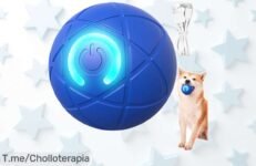 Shaky Ball para perros con luces LED vibrantes y súper resistencia ahora a un precio loco disfruta de este ofertón único corre que es por tiempo limitado