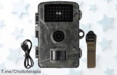 Startbuymore cámara de vida silvestre HD súper rápida y resistente clima a precio loco nunca visto disfruta videos día noche aprovecha este ofertón limitadísimo corre ya