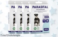 Zotal Parasital collar antiparasitario con protección natural hasta 4 meses resistente al agua precio loco y descuento brutal solo hoy aprovecha este super chollo único